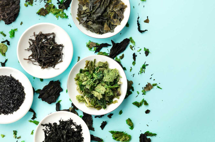 Why is Seaweed Good for your Skin?
