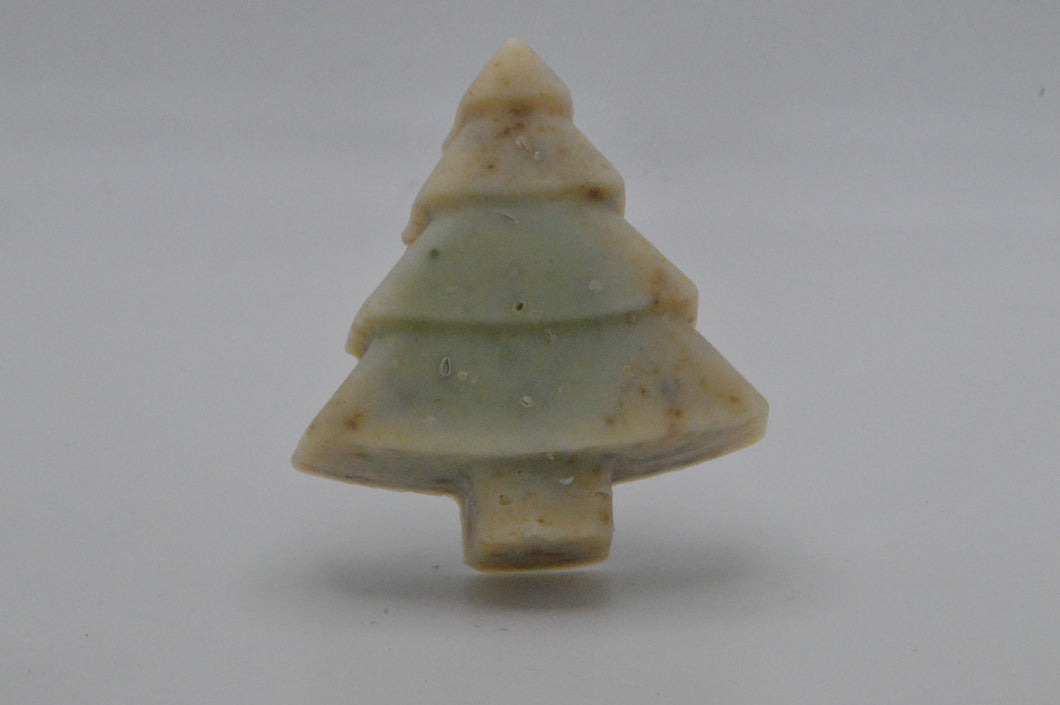 Christmas tree in Seaweed